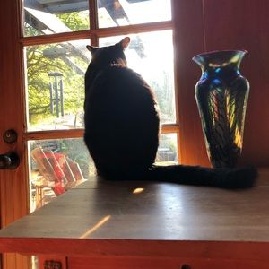 Meet your Posher, Annalena